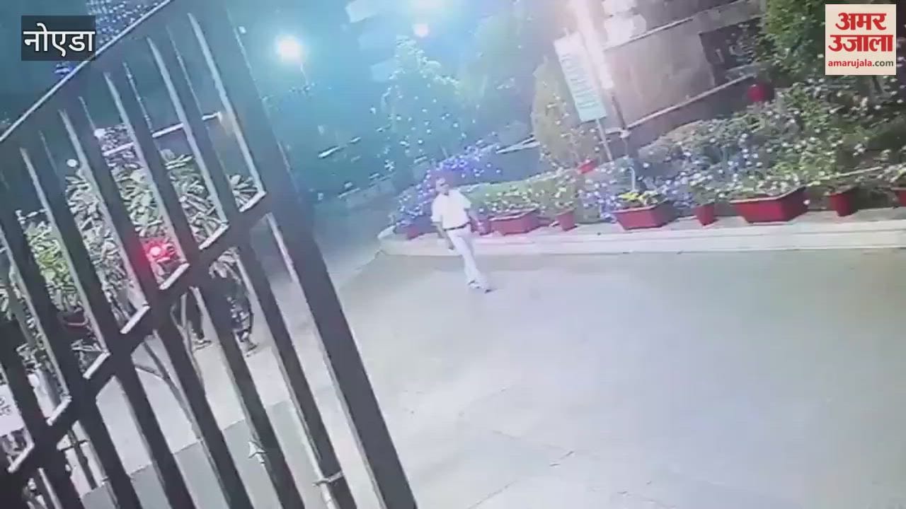 Woman crushed while car was backing up, leg broken