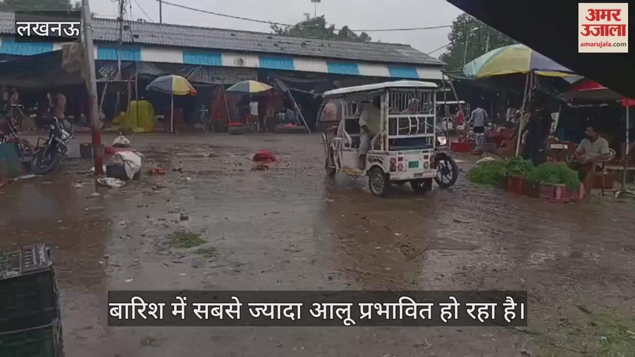VIDEO : नवीन गल्ला मंडी का हाल... सब्जियों को इस तरह बारिश से बचा रहे दुकानदार