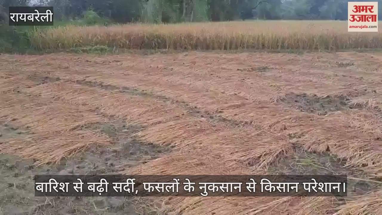 रायबरेली में बारिश से बढ़ी सर्दी, फसलों के नुकसान से किसान परेशान