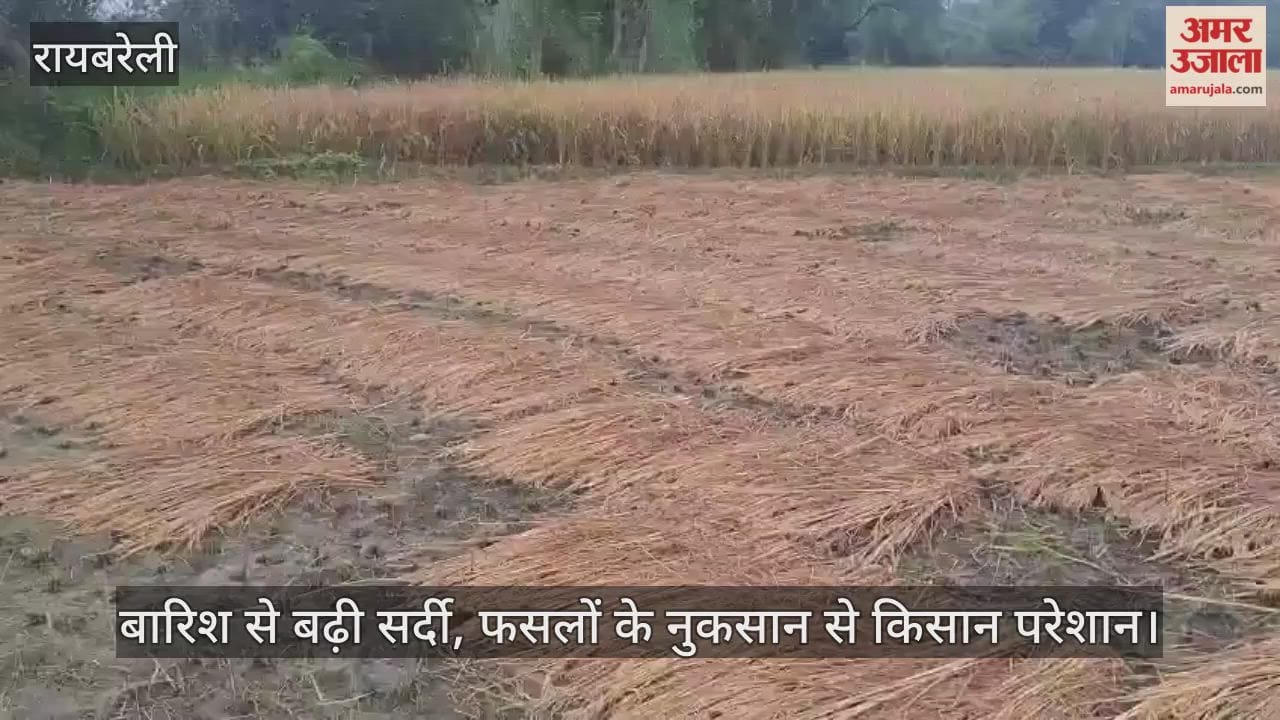 रायबरेली में बारिश से बढ़ी सर्दी, फसलों के नुकसान से किसान परेशान