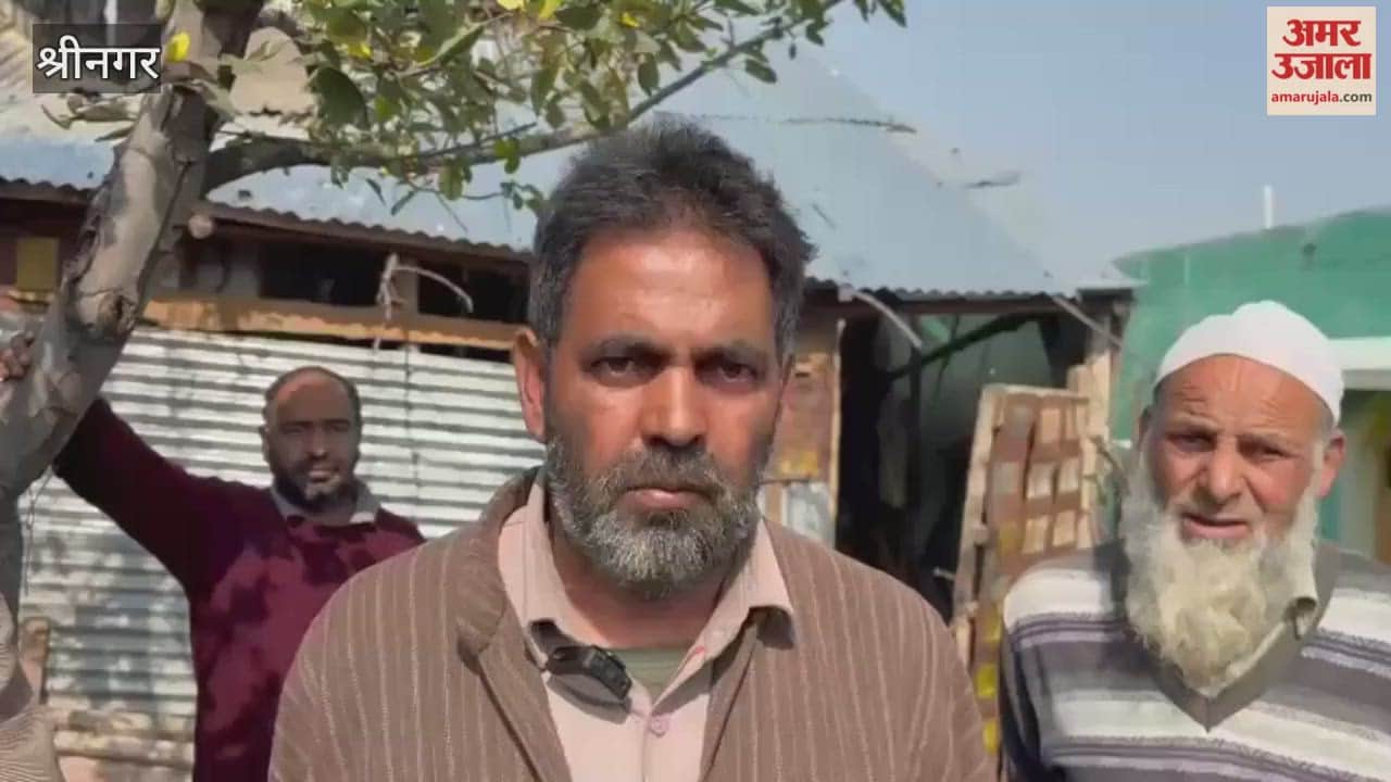 Fire Guts Cow Shed in Payeen Saidapora Shopian; Over 800 Chickens Charred to Death