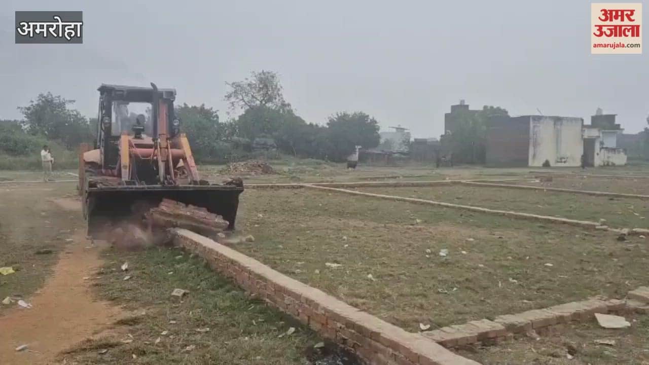 Bulldozer runs on plotting in colony without layout pass