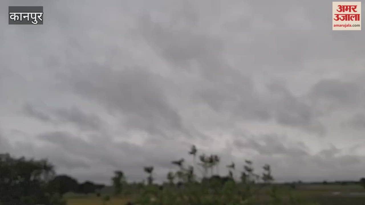 dark clouds hovering over the Bhitargaon area have disturbed the sleep of the farmers