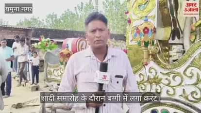 Buggy electrocuted during wedding ceremony