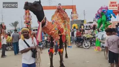 A young man from Shahjahanpur reached the Tigri Ganga Mela with a camel