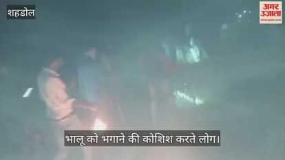 A bear dragged a woman grazing cattle into the forest and roamed around her body for two hours.