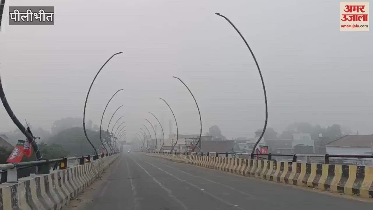 Weather changed in Pilibhit fog covered the morning