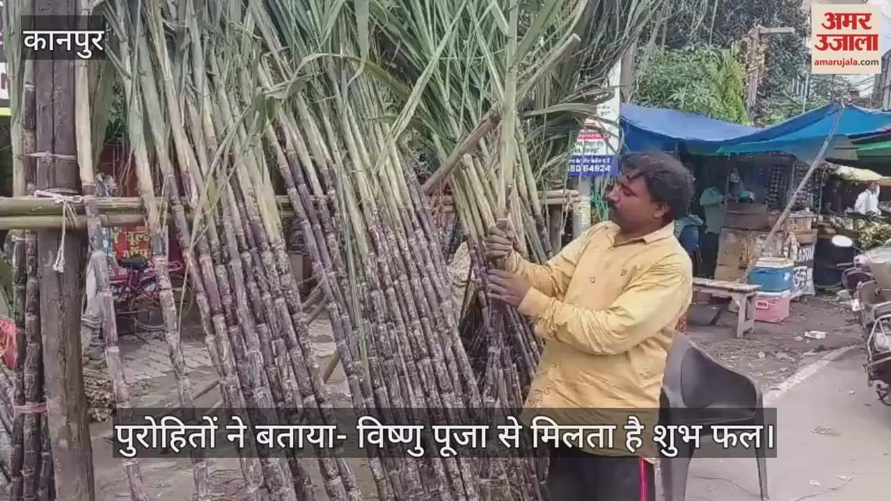 शुक्लागंज में देवोत्थान एकादशी की धूम, बाजारों में 100 रुपये तक बिका गन्ना