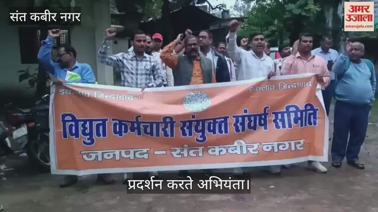 Demand to withdraw the decision of privatization of electricity