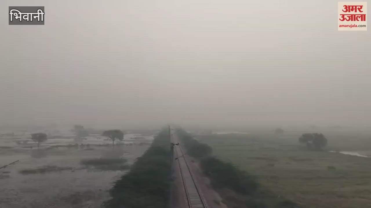 Smog continued to blanket Bhiwani district on Saturday morning