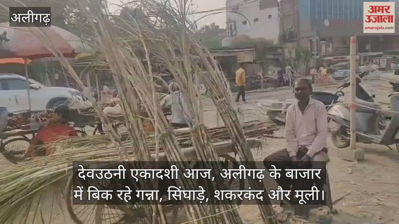 देवउठनी एकादशी आज, अलीगढ़ के बाजार में बिक रहे गन्ना, सिंघाड़े, शकरकंद और मूली