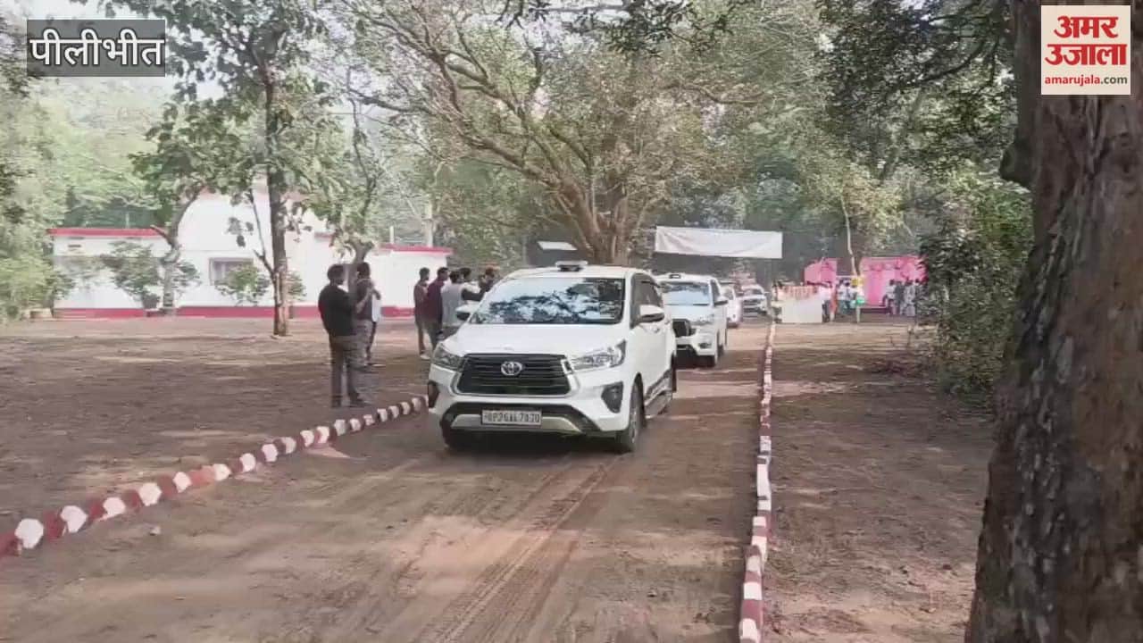 convoy of private vehicles entered the forest of Pilibhit Tiger Reserve violating the rules