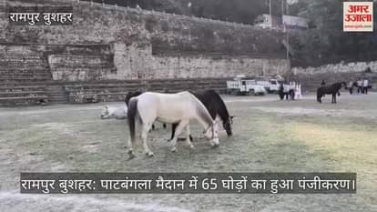 Rampur Bushahr: 65 horses registered at Patbangla ground