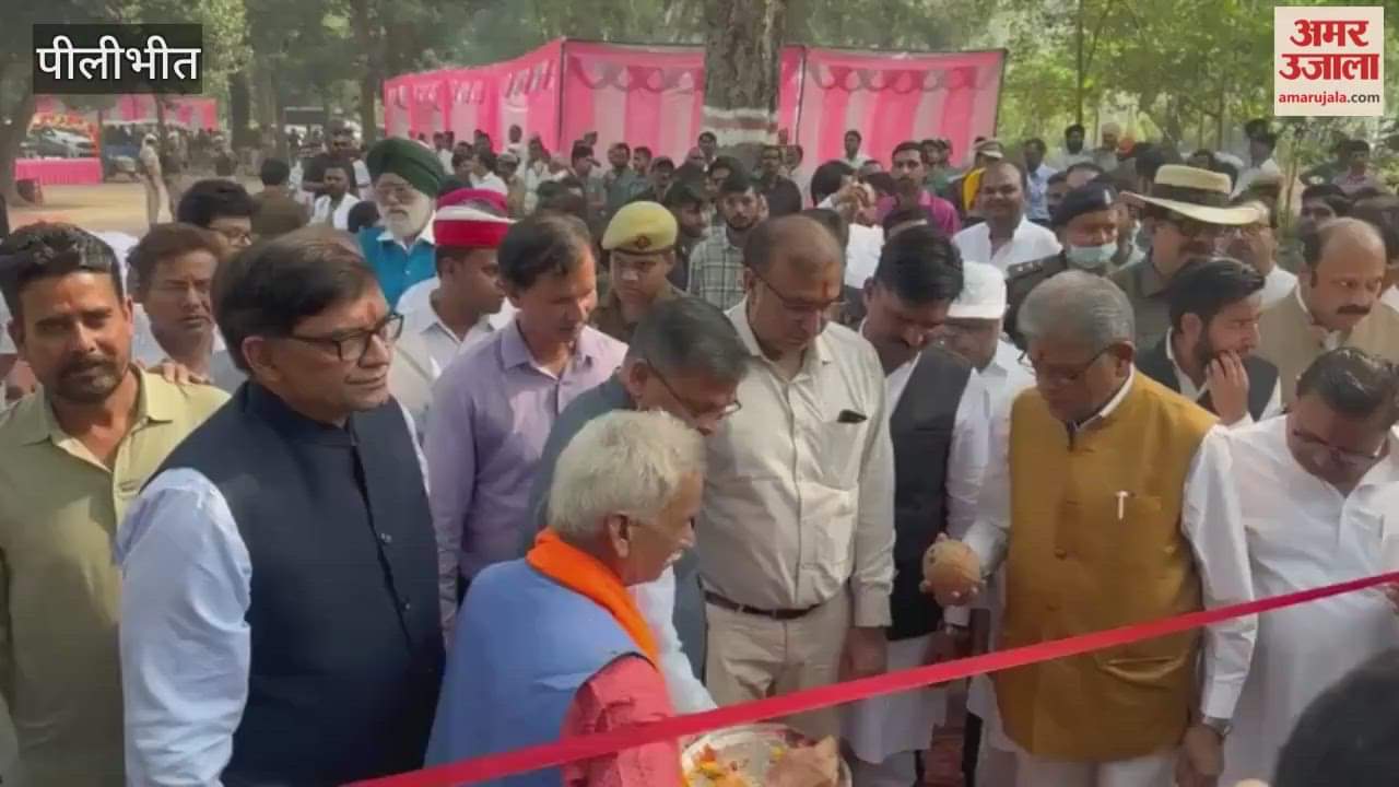 Pilibhit Tiger Reserve's tourism season begins, forest buzzes with tourists