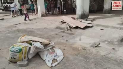 Rescue of seven feet long giant python in Korba