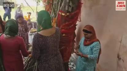 On Akshaya Navami, women worshipped Amli and accepted khichdi prasad.