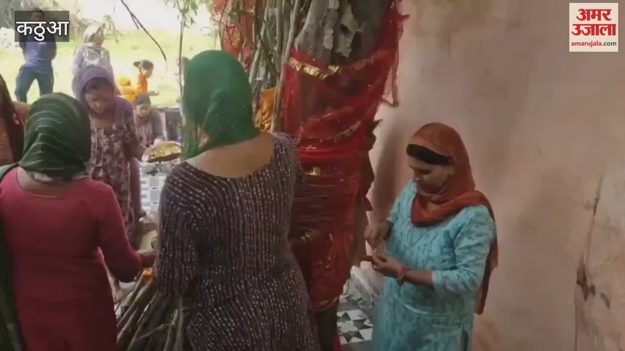 On Akshaya Navami, women worshipped Amli and accepted khichdi prasad.