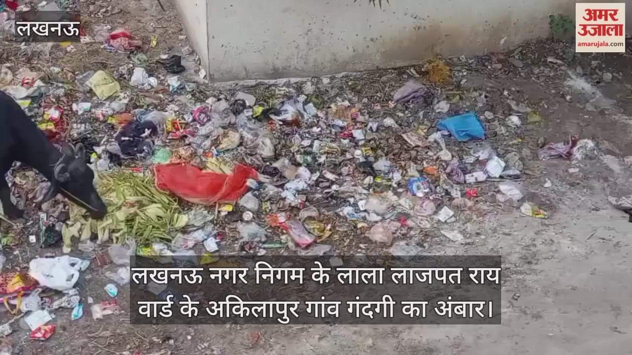 Video : लखनऊ नगर निगम के लाला लाजपत राय वार्ड के अकिलापुर गांव गंदगी का अंबार