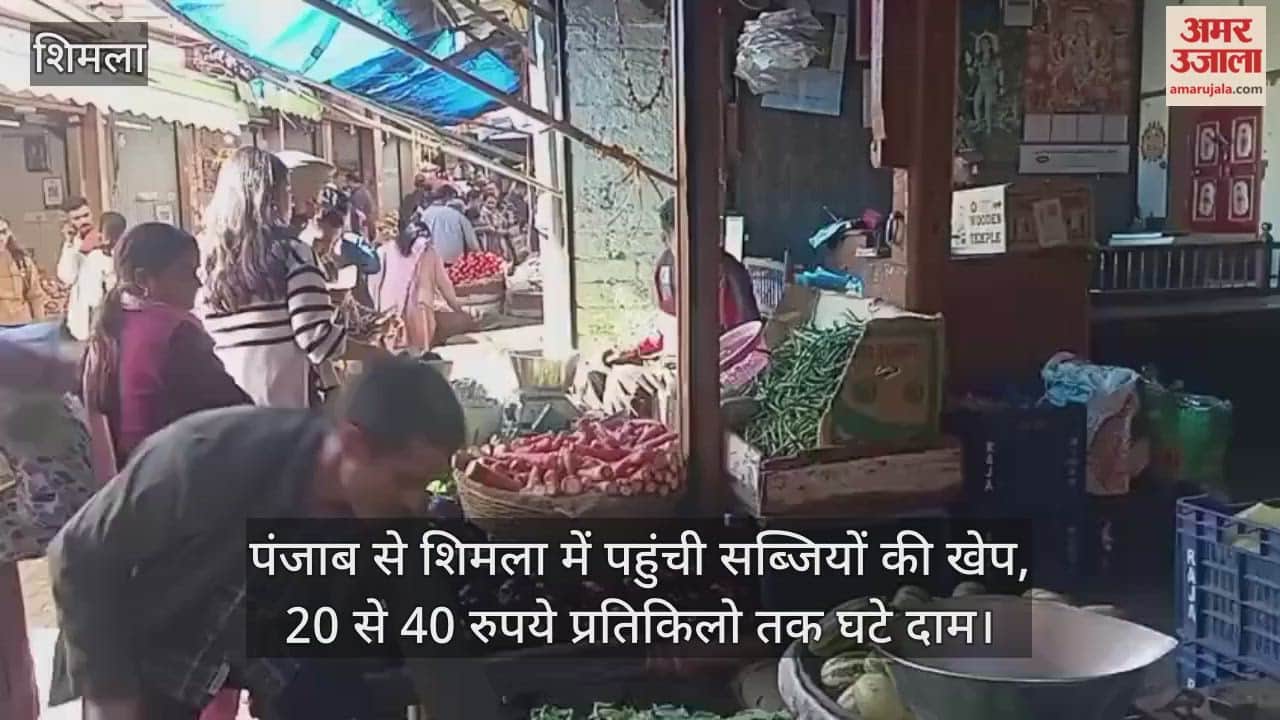 Vegetable consignments from Punjab arrive in Shimla, prices fall by Rs 20 to 40 per kg