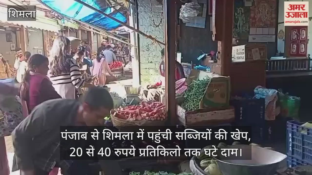 Vegetable consignments from Punjab arrive in Shimla, prices fall by Rs 20 to 40 per kg
