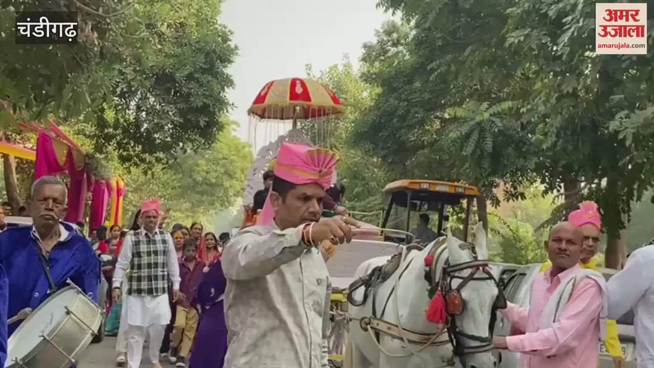 Tulsi marriage was celebrated in Chandigarh