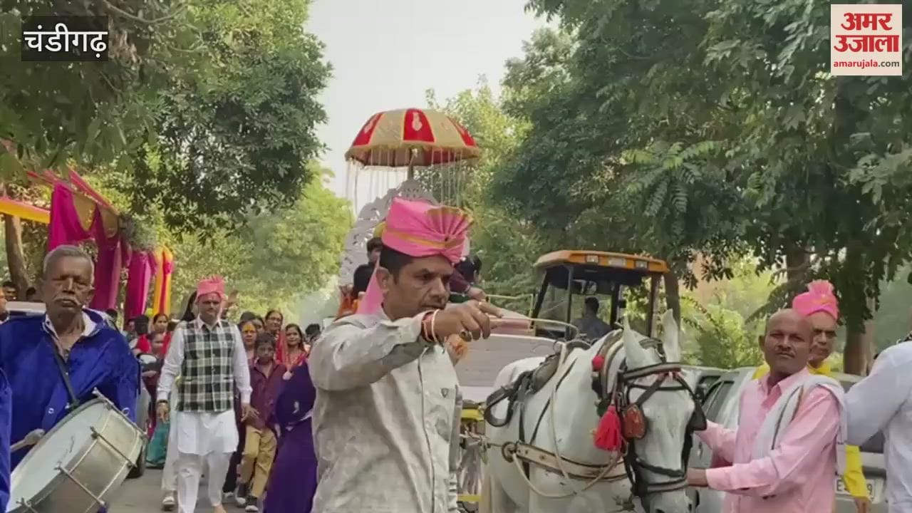 Tulsi marriage was celebrated in Chandigarh
