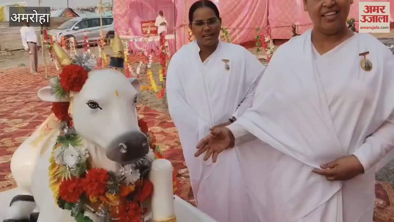 Visit 12 Jyotirlinga temples, including Somnath, Mallikarjuna, and Bhimashankar, during the Tigri Ganga Fair