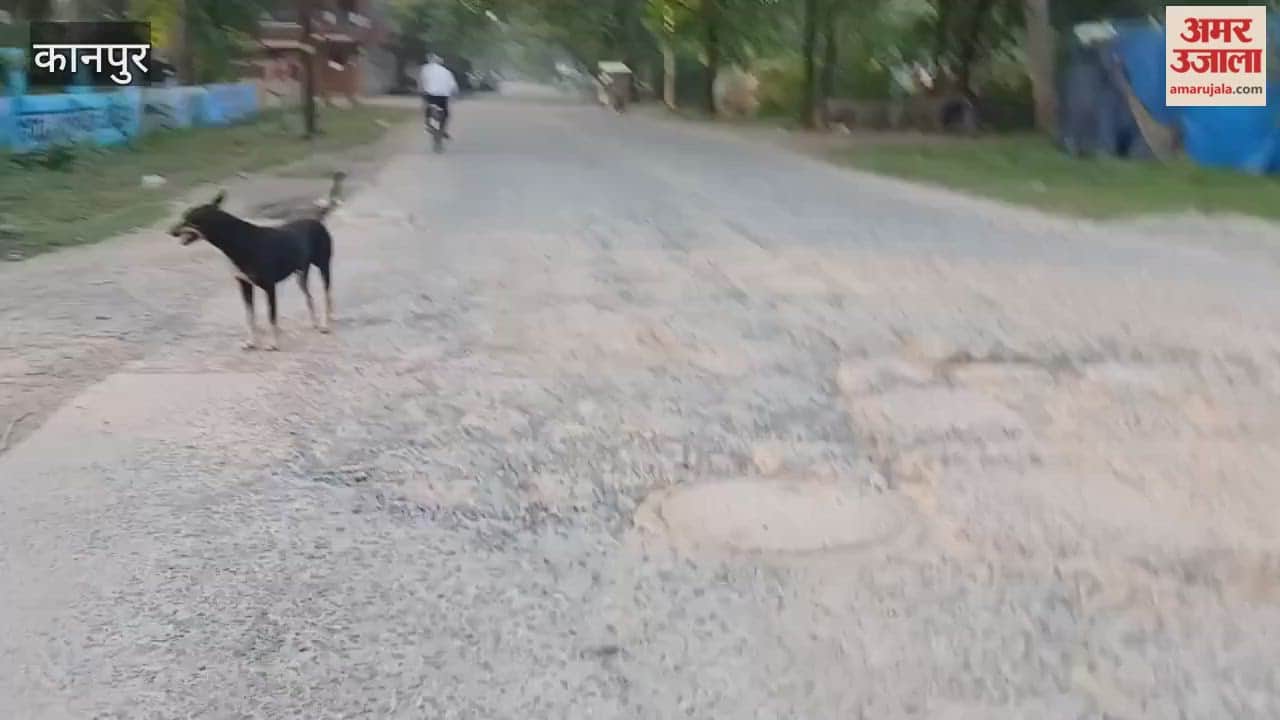 Kanpur: Road at Armapur Canal Bridge in dilapidated condition, risk of accidents