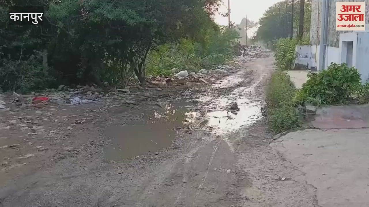 Kanpur: The road in Krishna Vihar is in a terrible state, with widespread disrepair