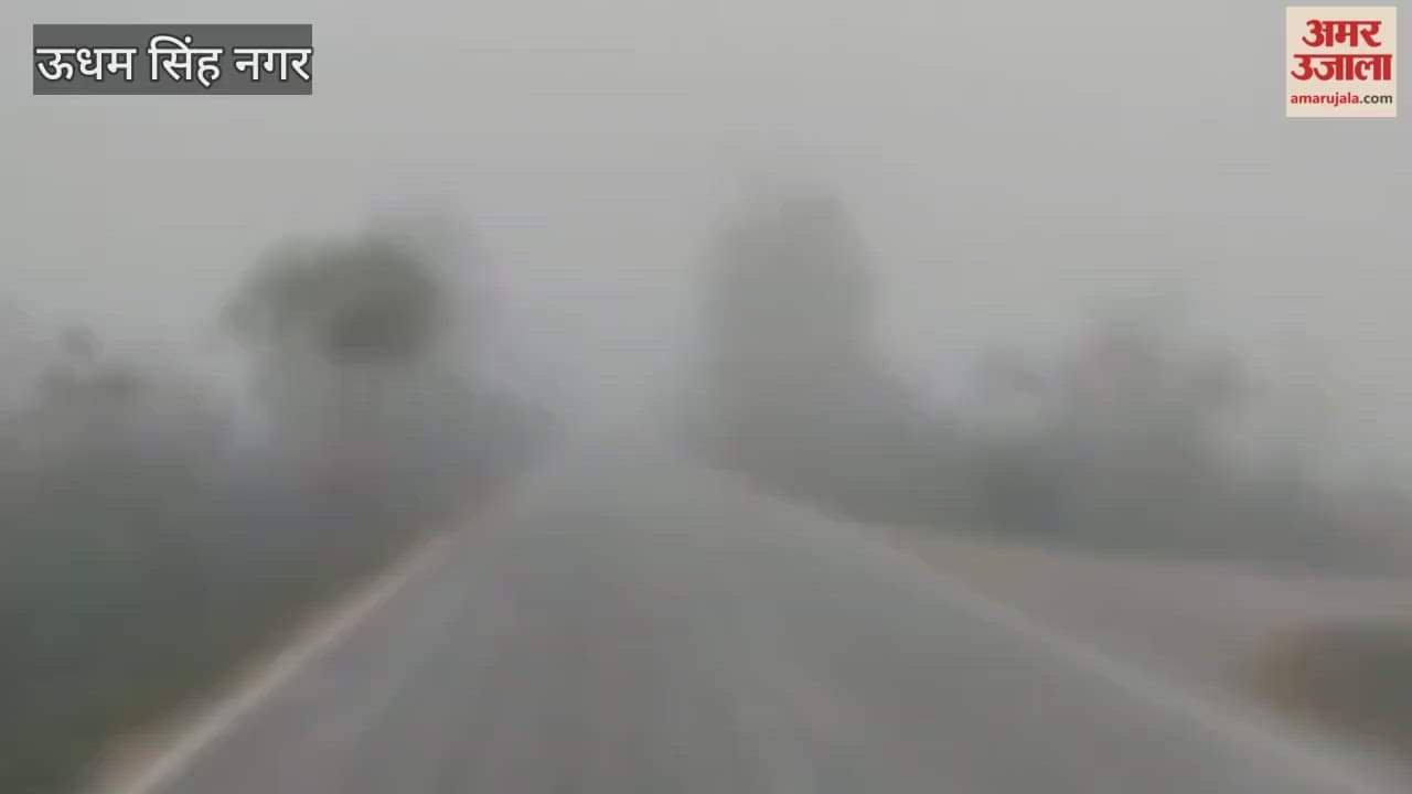 Dense fog hits Rudrapur