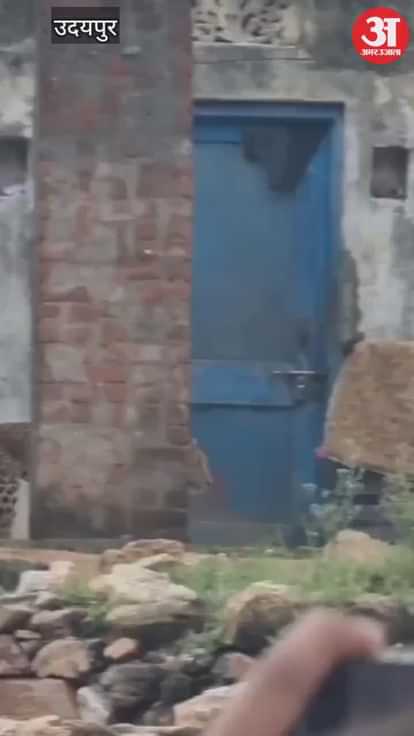 Udaipur News: Leopard Enters Home Attacks Mother-Son, Lives Saved by Villagers' Wisdom; Caught after 3 hours