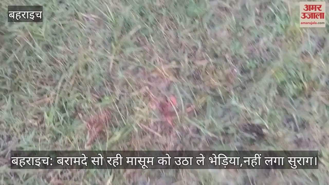 बहराइच: बरामदे सो रही मासूम को उठा ले भेड़िया,नहीं लगा सुराग