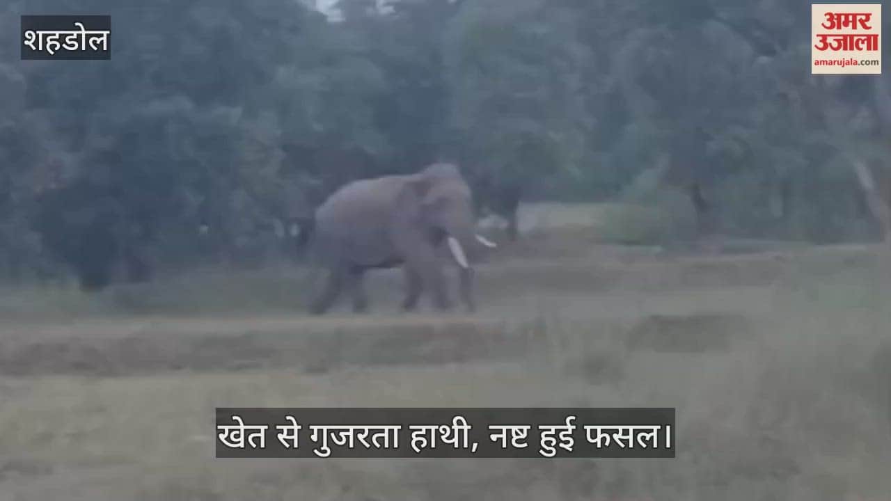 A herd of elephants roamed some distance from the settlement, forcing people to spend the night awake.