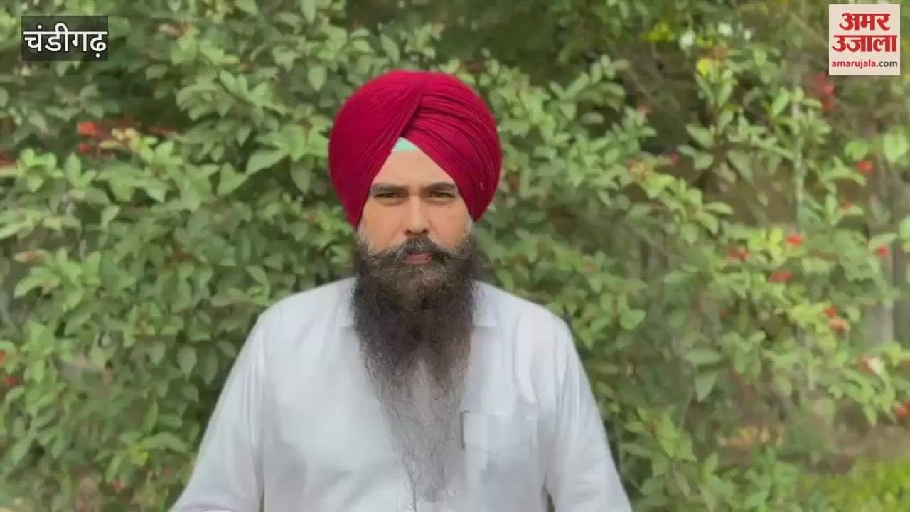 AAP MP Malvinder Kang will reach Punjab university