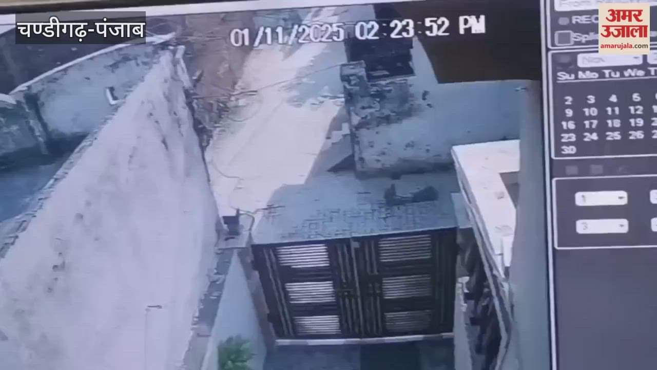 Woman earring snatched in Pathankot