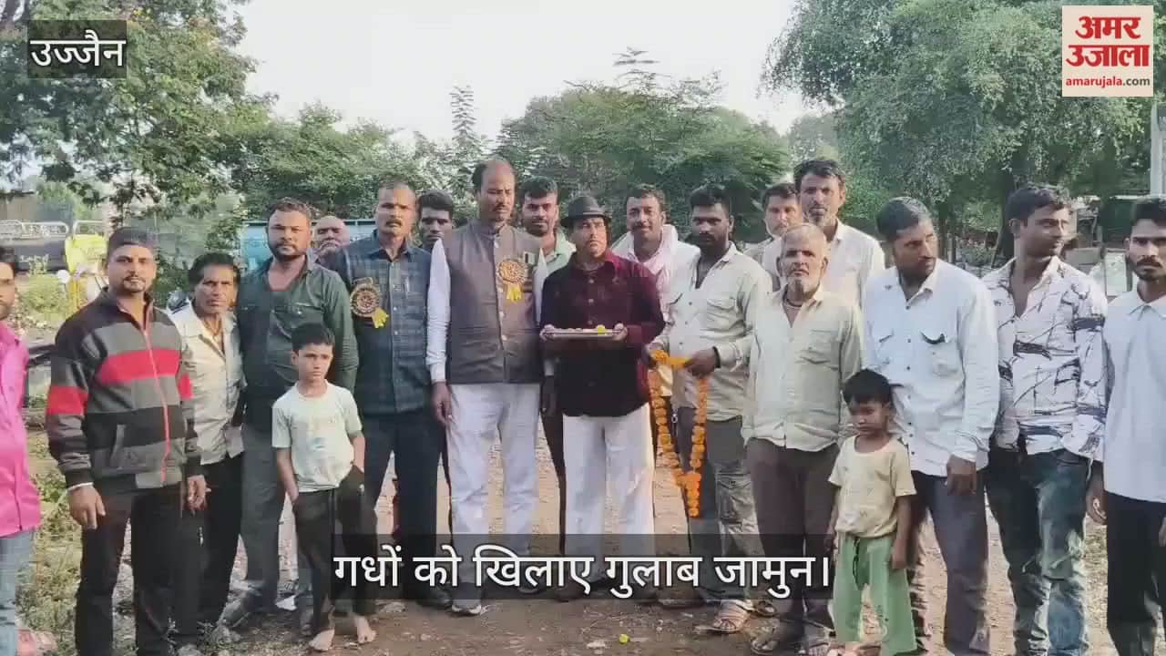 unique tradition followed Kartik Mela, donkeys fed gulab jamuns to mark the beginning of the fair.