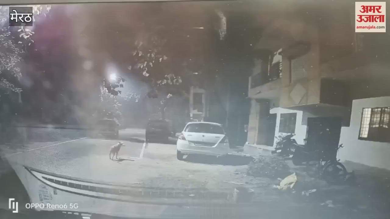 Meerut: Theft by breaking the lock of professor's flat in Agricultural University.