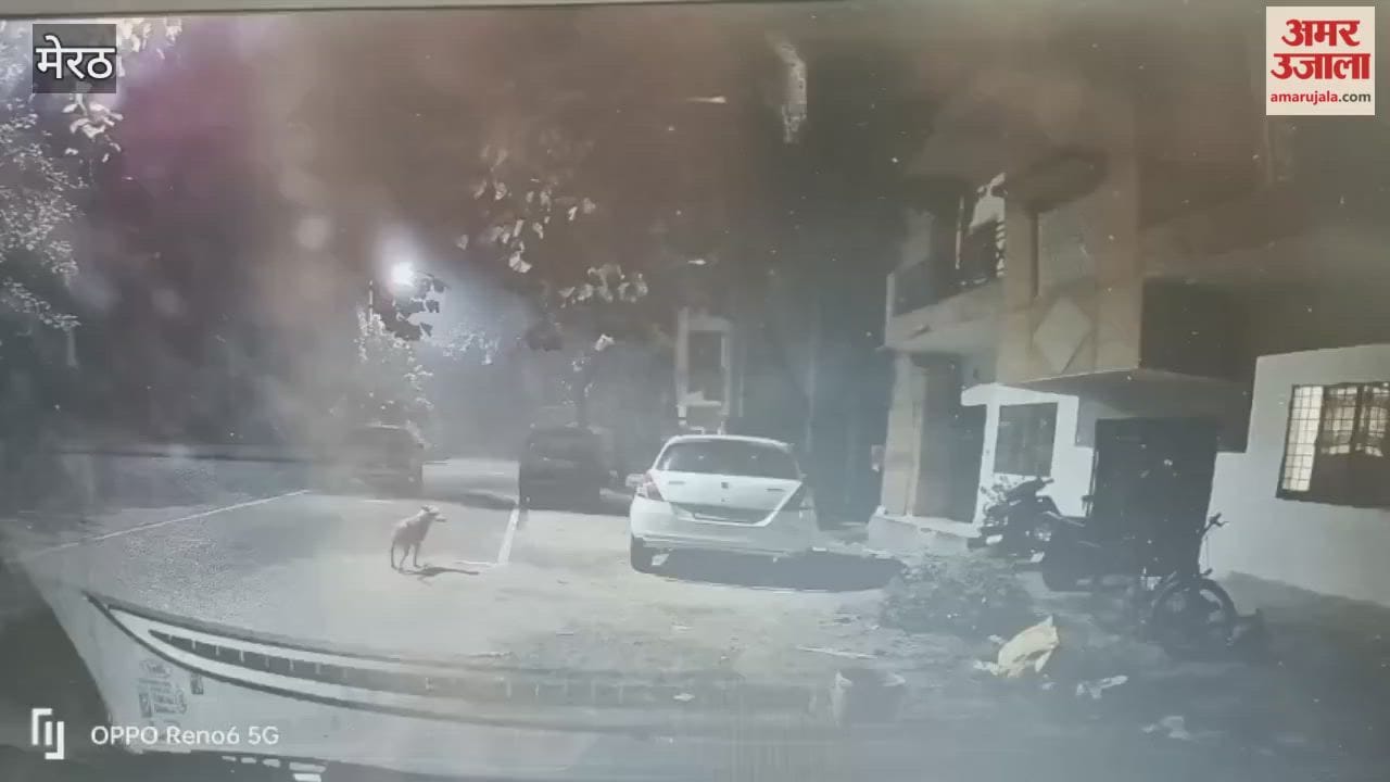 Meerut: Theft by breaking the lock of professor's flat in Agricultural University.