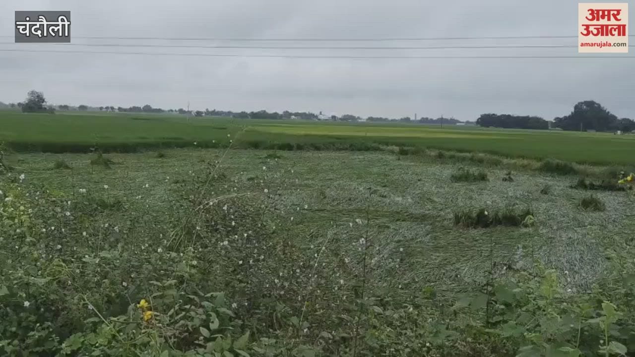 Crop loss survey should be done in transparent and fair manner