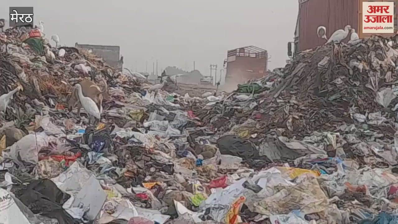 Meerut: Garbage comes on the road in Lohianagar, it is difficult to breathe due to the terrible smell.
