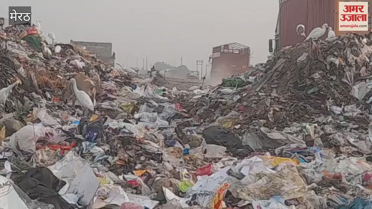 Meerut: Garbage comes on the road in Lohianagar, it is difficult to breathe due to the terrible smell.