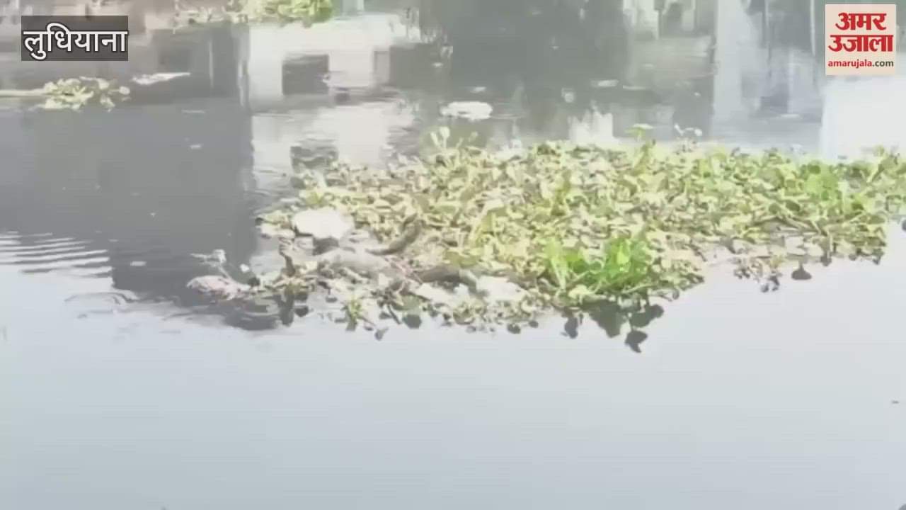 Body of a man found in Ludhiana's Budha Dariya