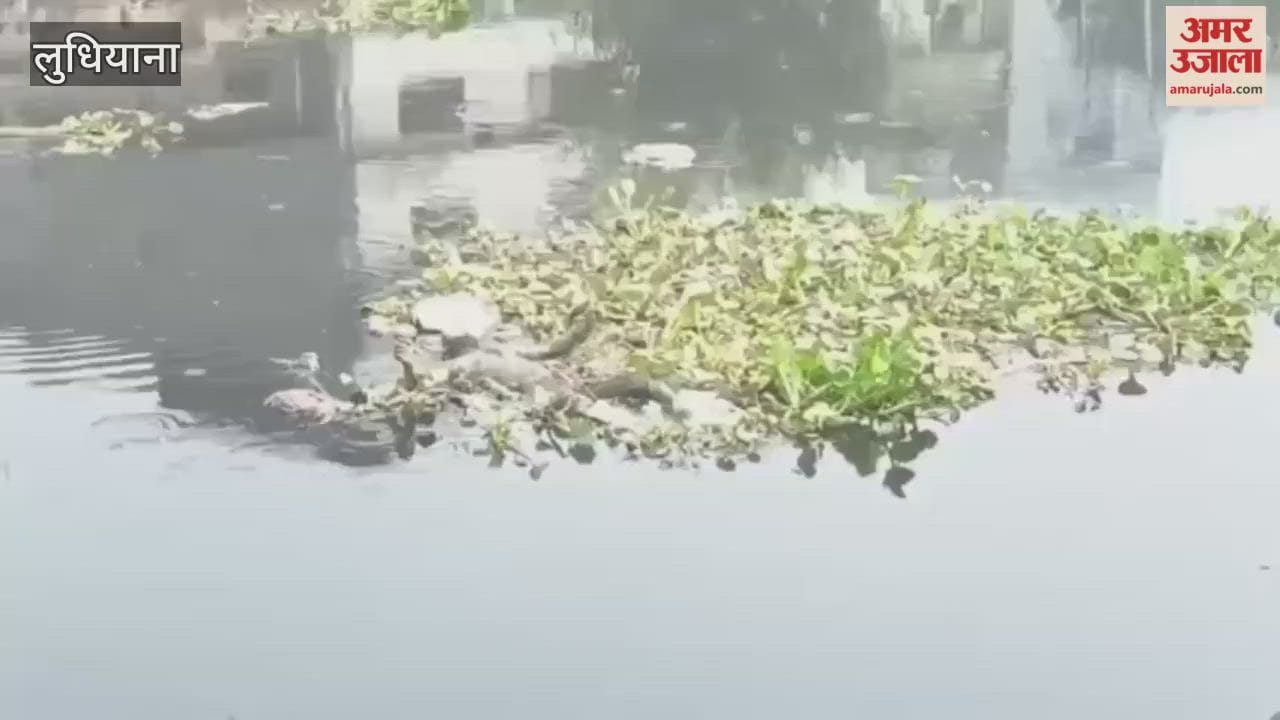 Body of a man found in Ludhiana's Budha Dariya