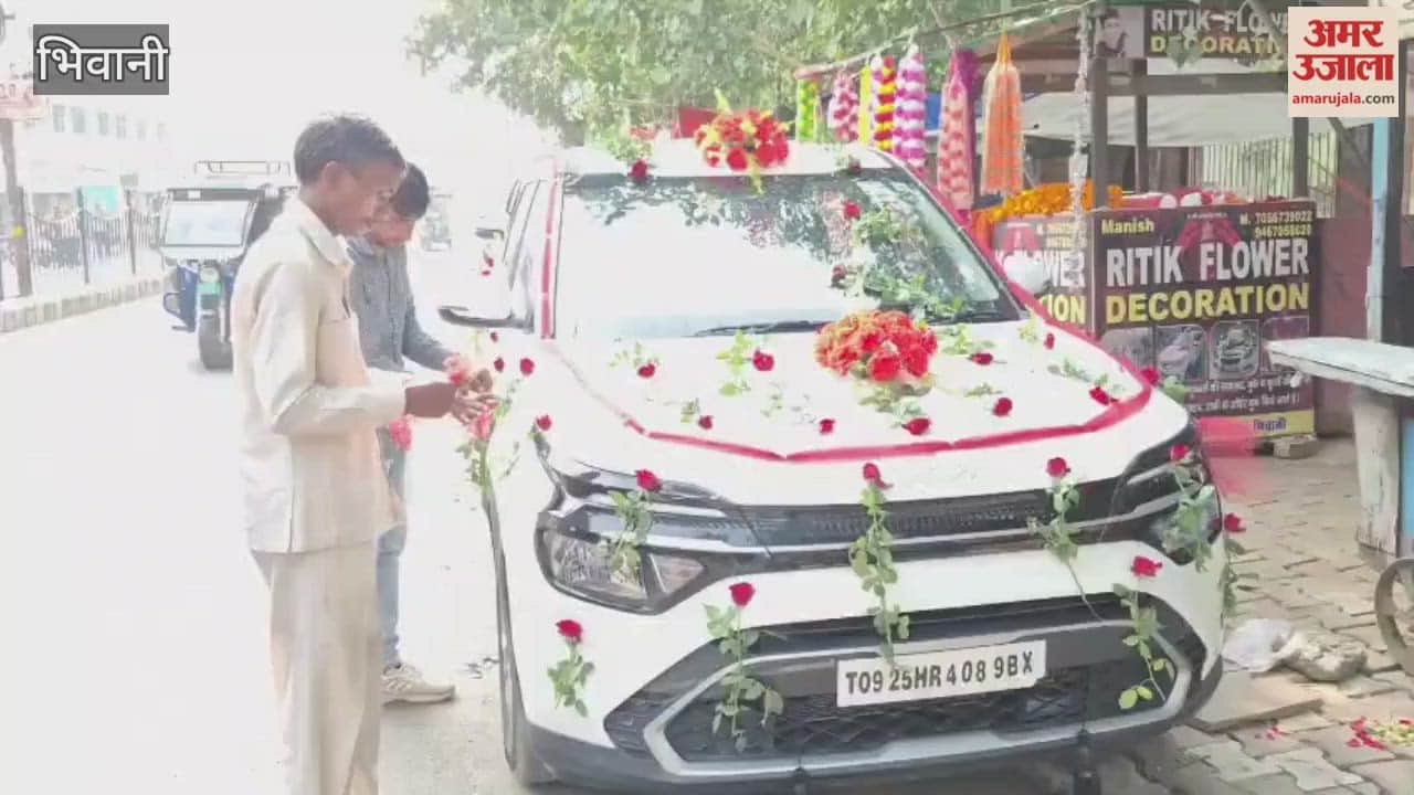 In Bhiwani, following Dev Uthani Ekadashi, more than 250 weddings took place within the city on Sunday during the auspicious wedding season.