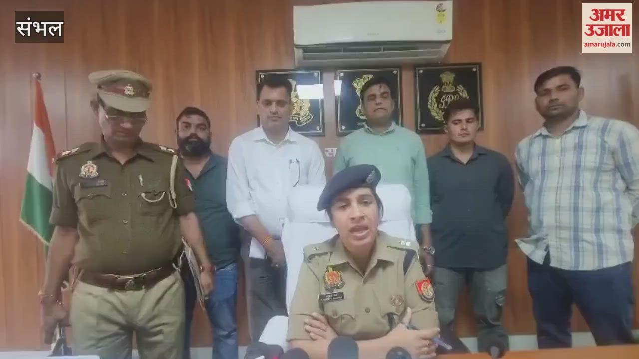 Cattle theft case uncovered in Babrala, six criminals arrested and sent to jail