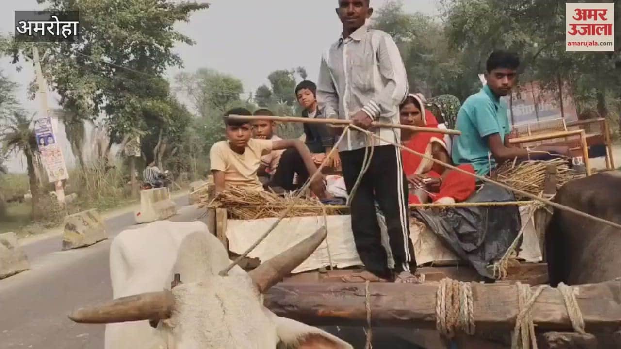 People were shocked to see two families going to Tigri Ganga fair in bullock carts