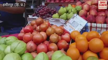 price of pomegranate has reached Rs 250 to 300 per kg in Hamirpur