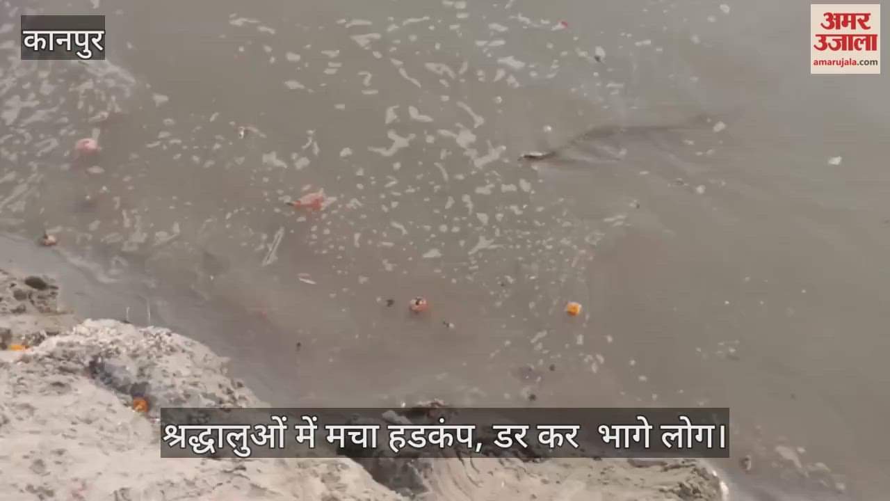 कानपुर: शुक्लागंज के आनंद घाट पर गंगा स्नान के दौरान निकला सांप