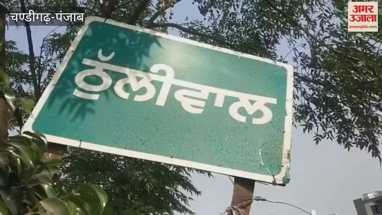 Barnala soldier cremated with state honours