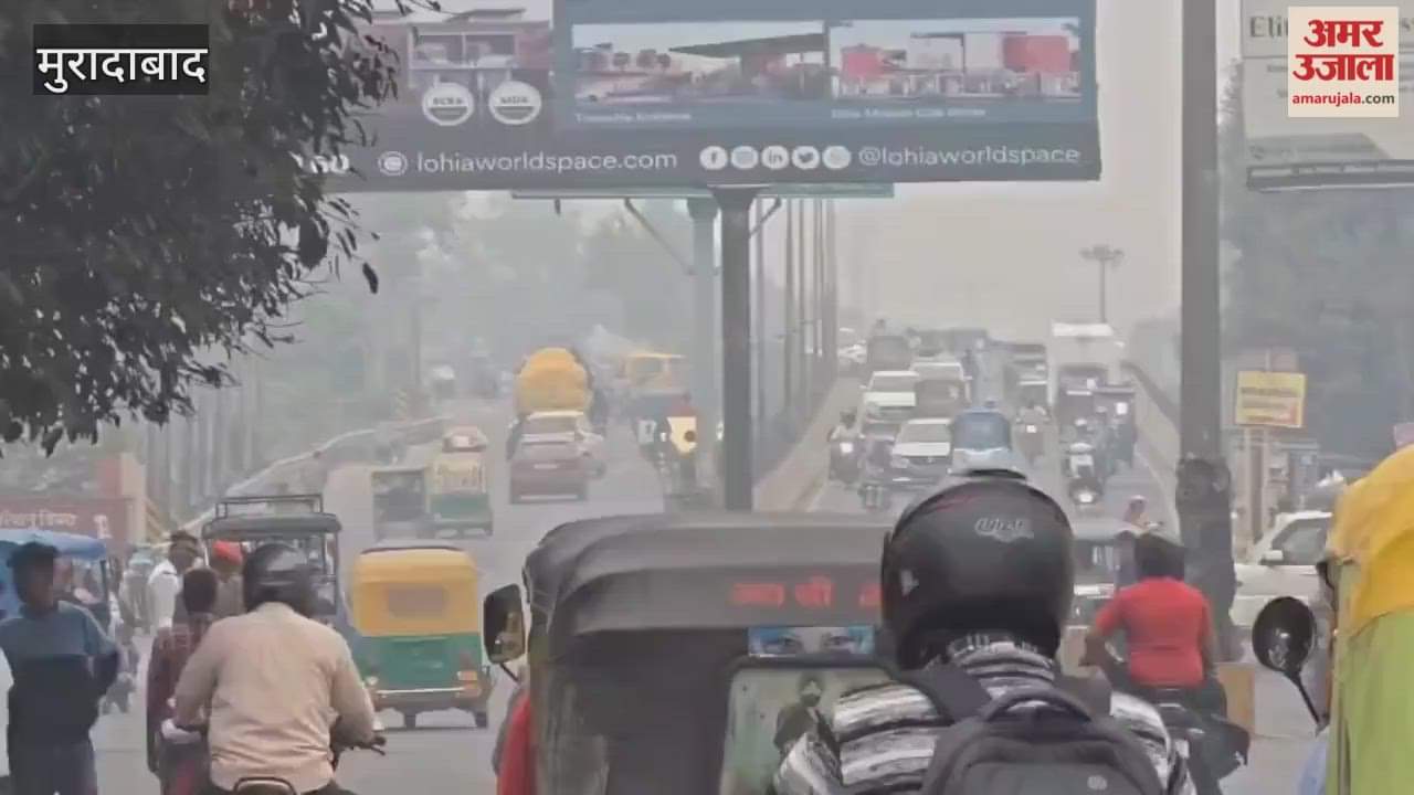 Fog covered the day, cold increased at night, the weather changed in Moradabad